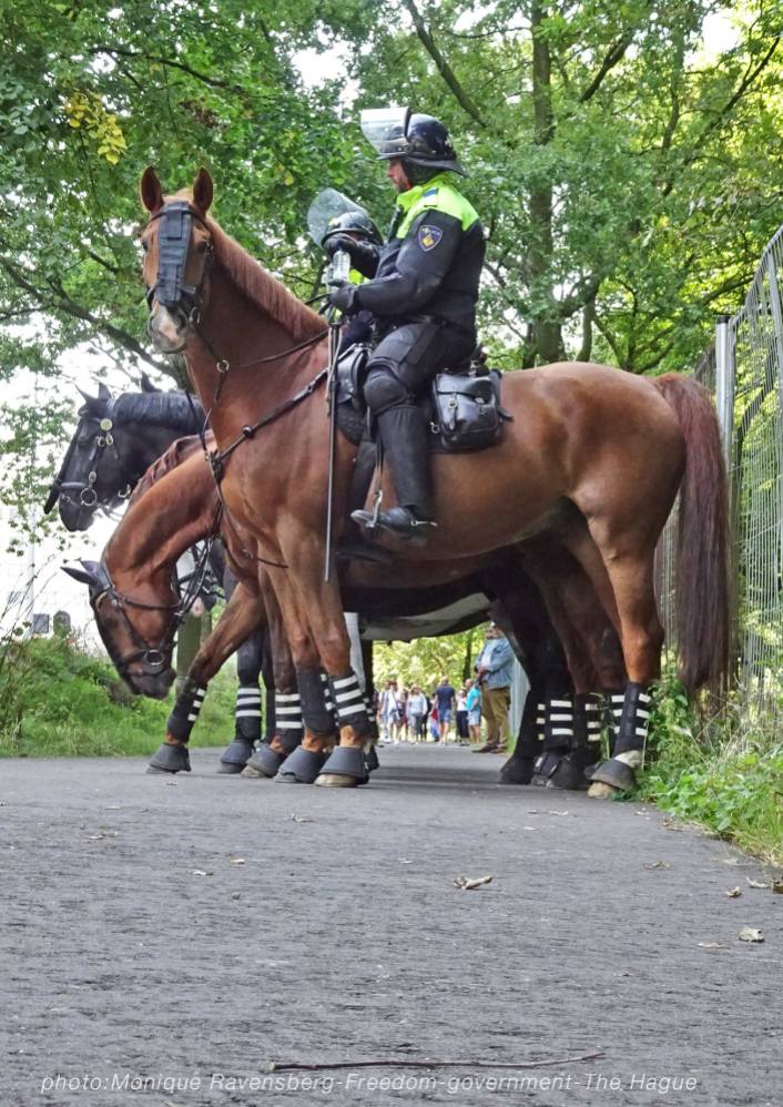 Freedom-210907-government-police-horses